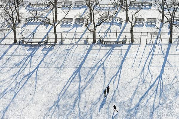 Photograph Mitchell Funk Tree Shadows on One Eyeland